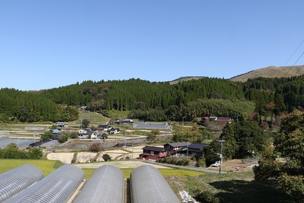 2010 ��ʬ���� ����� ������ ���� ΢��