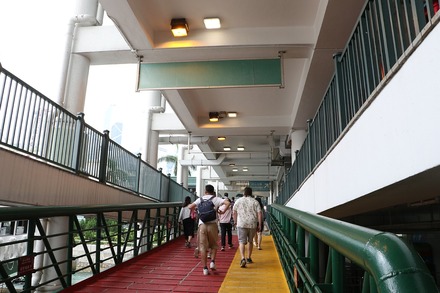 2310 ��� �������ե��꡼ 12