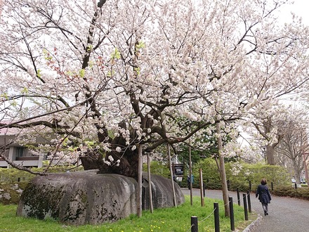 ��� ���� �г�� 05