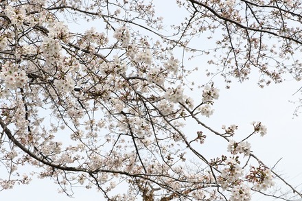 2404 ���� ��� �Ѳ���  02