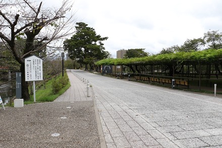 2309 ���� ������� 03