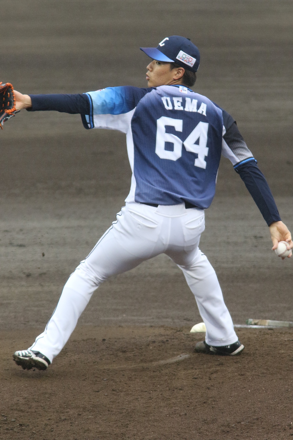 Vaioちゃんのよもやまブログ プロ野球ネタ