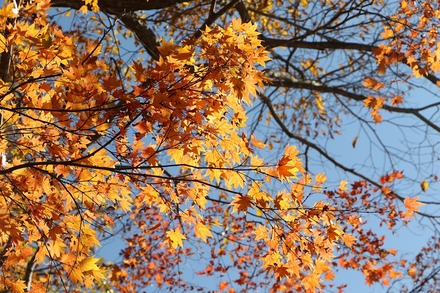 2410 �Ŀ� ������ �վ� 13