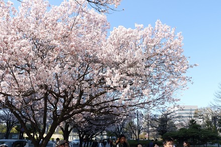 2404 ���� ��� ����Ԯ���� 03