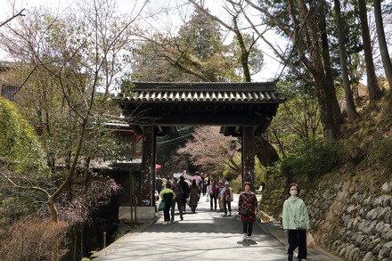 2504 ���ɵ��� ����