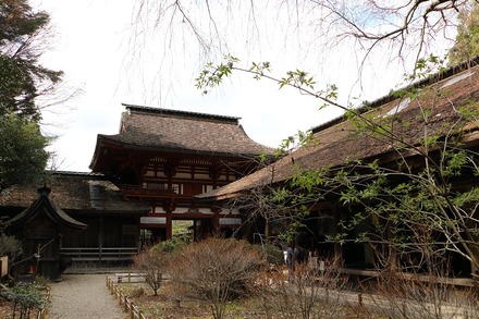 2504 ���ɵ��� �����ʬ���� 10