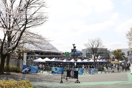 250330 �٥롼�ʥɡ���  vs ���ܥϥ� �ɡ����� 01