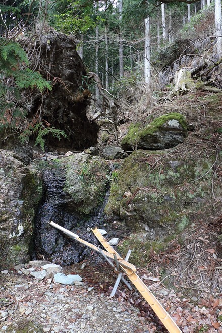 2504 ÆàÎɵÈÌî ÂÝÀ¶¿å 01