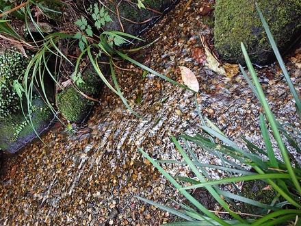 ¸æÅÂ¾ì ¤È¤é¤ä¹©Ë¼ ¾®Àî