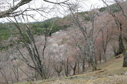 2504 ���ɵ��� �����ܤκ� 05