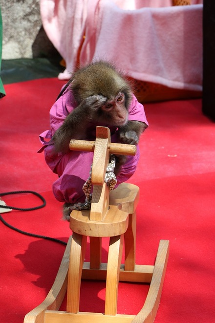 2504 ���ɵ��� �������� 13