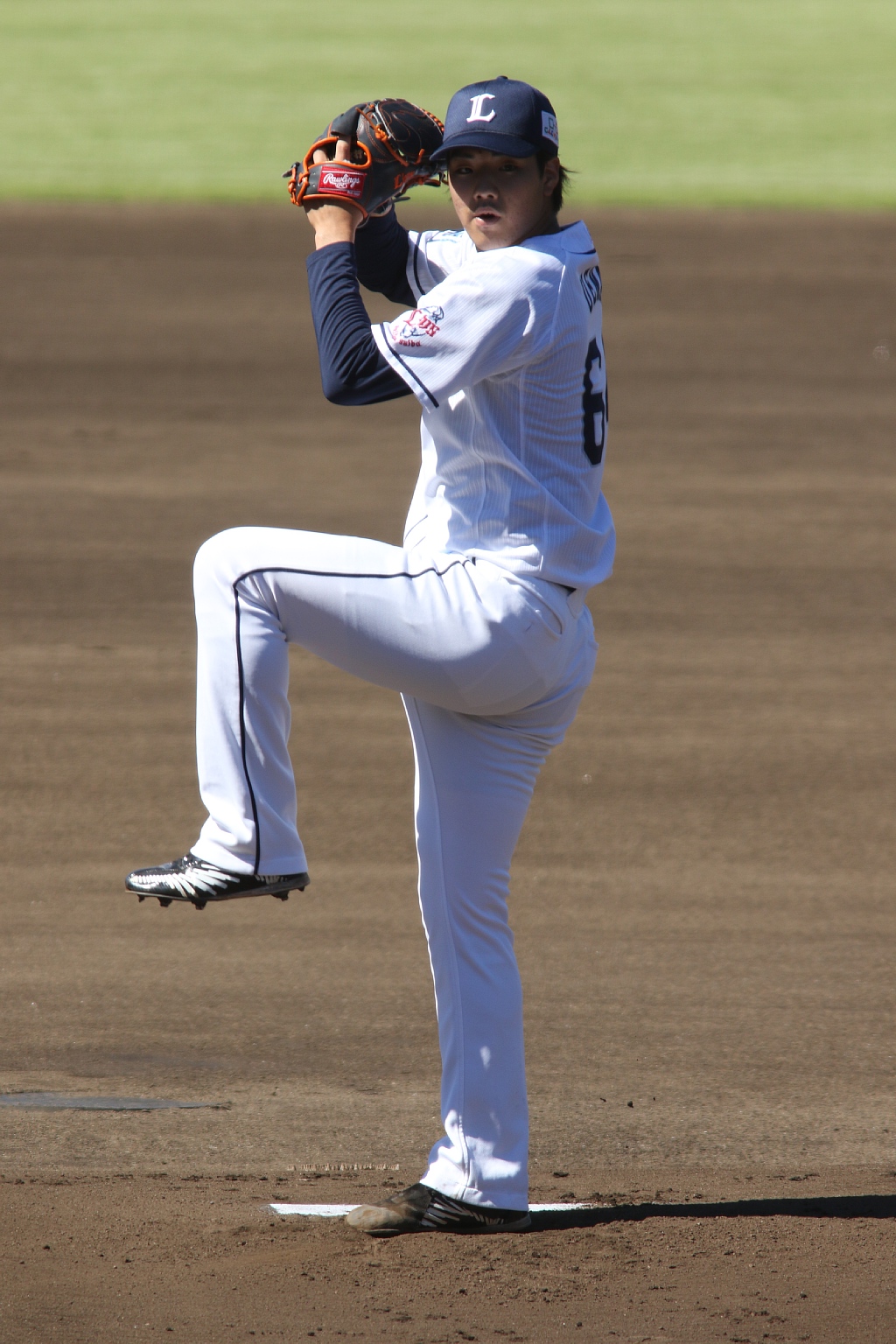 Vaioちゃんのよもやまブログ プロ野球ネタ
