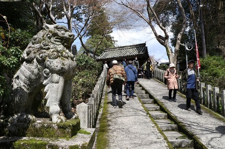 2504 ���ɵ��� �ȿ���� 03