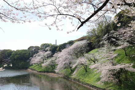 2303 �ĵ����޼�κ� 06