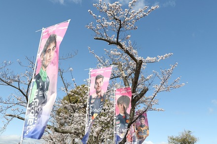 F1 2025����GP �ɥ饤�С��ΥΥܥ� 14