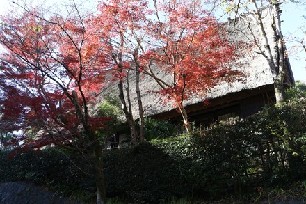 2412 ��� �������� ���н� ��� ���� 01