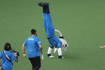 230826 �٥롼�ʥɡ��� vs ���ܥϥ� �쥪 ���ͥ���Ͽ���� 01