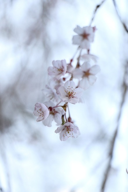 2504 ���ɵ��� ������ 09