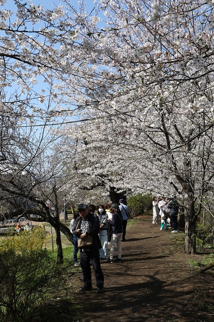 2404 ���� ��� ����Ԯ���� 04