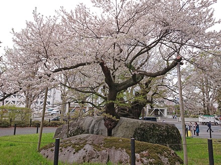 ��� ���� �г�� 04