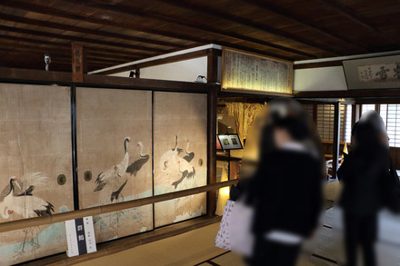 2504 ���ɵ��� �ȿ���� 32