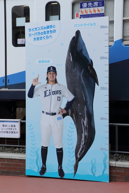 240421 �٥롼�ʥɡ���  vs ��ŷ �ⶶ�����ȥХ�ɥ����륫