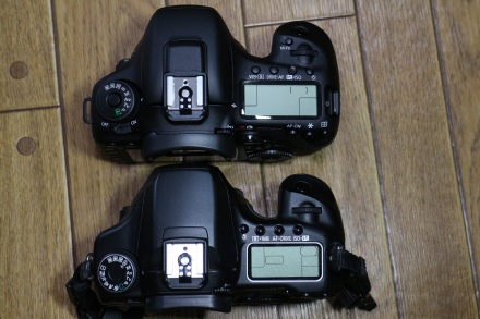 Canon EOS 40D & 7DMarkII 04