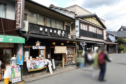 2504 ���ɵ��� ���� ����