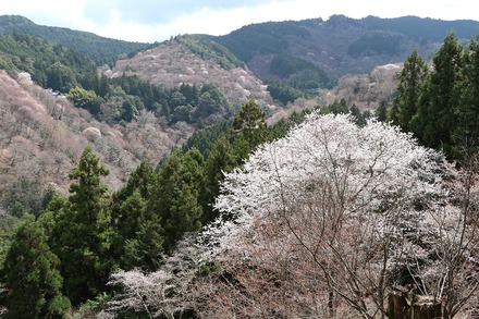 2504 ÆàÎɵÈÌî µÈ¿å¿À¼Ò 05