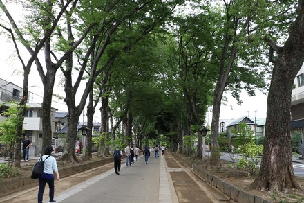 230606 ������� vs ���� ���ؤ�ƻ 01