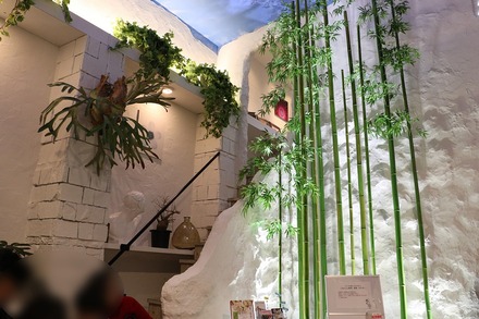 1711È¢º¬ ÀçÀи¶ ¶å½½¶å ÂԹ祹¥Ú¡¼¥¹