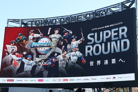 241123 ����ɡ��� �ץ�ߥ�12 �ɡ������Υӥ����