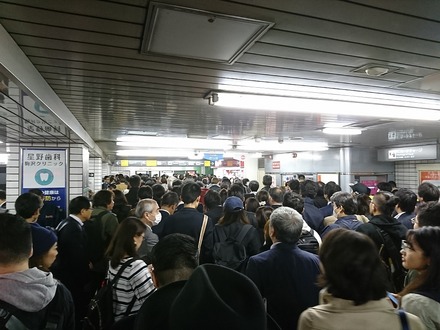 171019 �ı��Ի�����ž����碌��ζ�����رز���