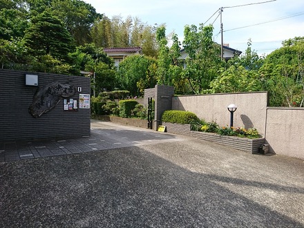 �������� ������ �� �����01