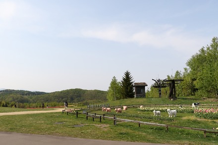 2305���� ����������͸��� 04