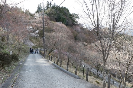 2504 ���ɵ��� ������ 06