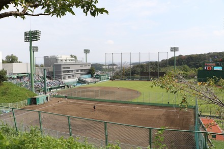 231001 ���㥤����ĵ�� ���������� vs��� �����