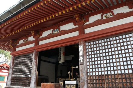 2504 ���ɵ��� �������� 06