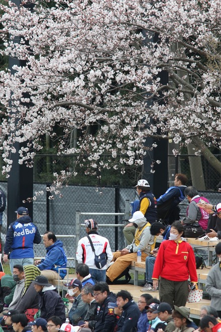 2024 F1 ÆüËÜGP ¥¹¥¿¥ó¥É¤Îºù