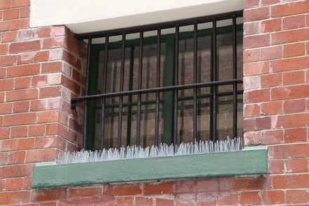 2310 ��� ����� ��� 19