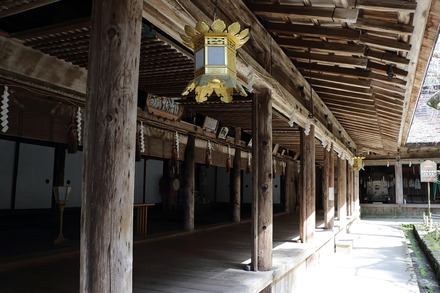 2504 ���ɵ��� �����ʬ���� 05