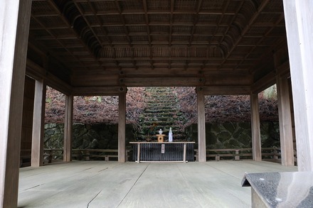 2504 ÆàÎɵÈÌî ¶âÊ÷¿À¼Ò 05