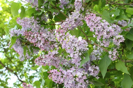 2305���� ���äݤ��饤��å��ޤĤ� 01