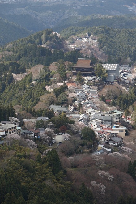 2504 ���ɵ��� ������Ÿ˾�� 04