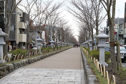 2003 鎌倉 鶴岡八幡宮02