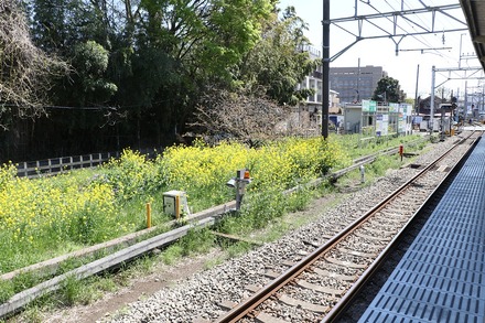 190413 ��åȥ饤�եɡ��� vs����å��� ���߳�ƻ��