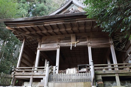 2504 ÆàÎɵÈÌî ¶âÊ÷¿À¼Ò 04