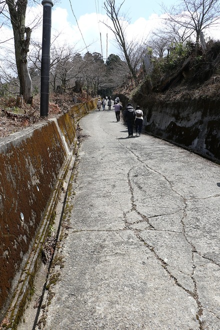 2504 ���ɵ��� �������� 01