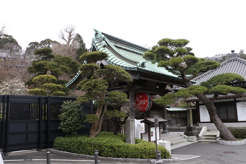 Vaioちゃんのよもやまブログ