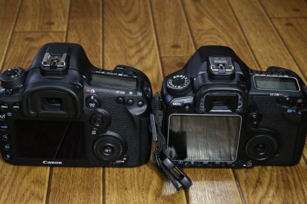 Canon EOS 40D & 7DMarkII 03